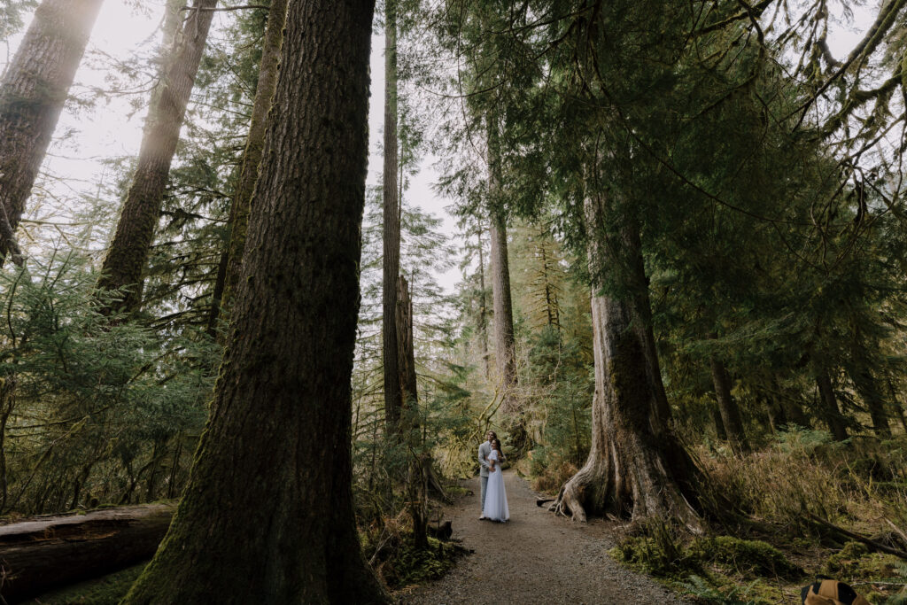 Olympic National Park Elopement